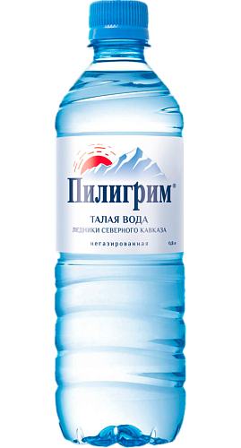 Вода питьевая Пилигрим  0,5л х 12 бут негаз