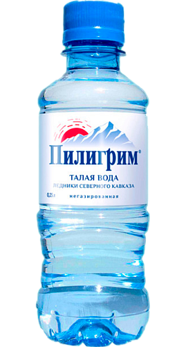 Вода Пилигрим негаз 0,25л*8шт