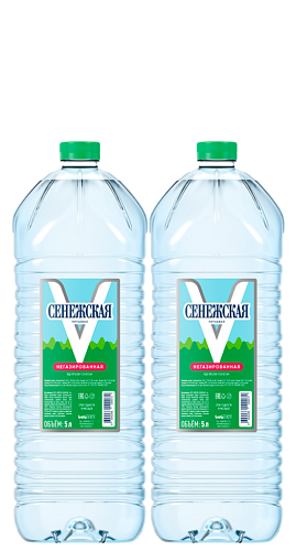 Вода питьевая «СЕНЕЖСКАЯ» негазированная 5л*2 бут