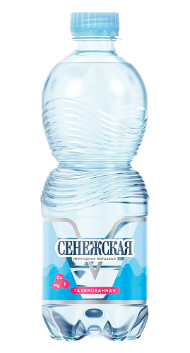 Вода питьевая «Сенежская» газированная 0,5л х 12 бут